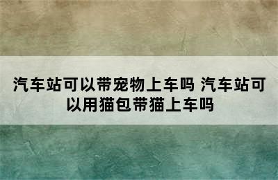 汽车站可以带宠物上车吗 汽车站可以用猫包带猫上车吗